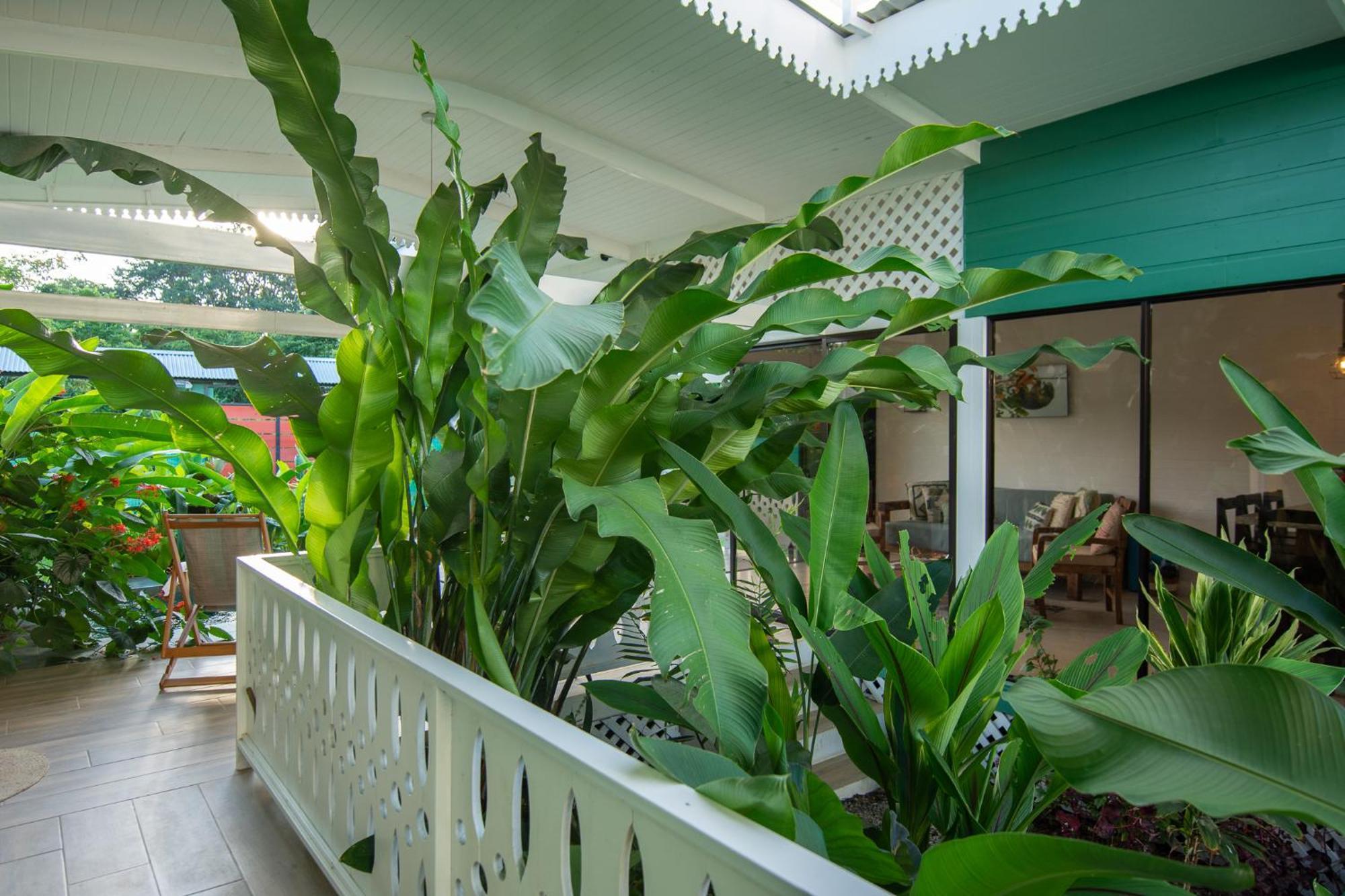 Namaitami Casa Hermosa Con Ac Y Piscina A Solo 650 Metros Del Parque Nacional กาอุยตา ภายนอก รูปภาพ